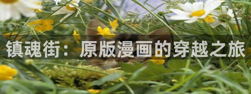 奇漫屋漫画下拉式免费观看