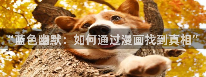 武映三千道漫画下拉式奇漫屋